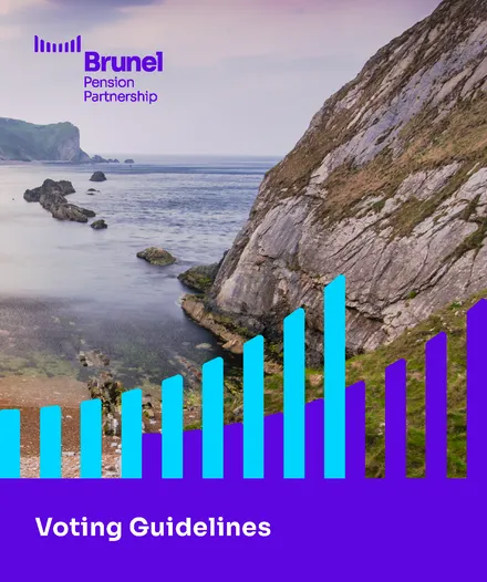 Brunel Voting Guidelines 2025